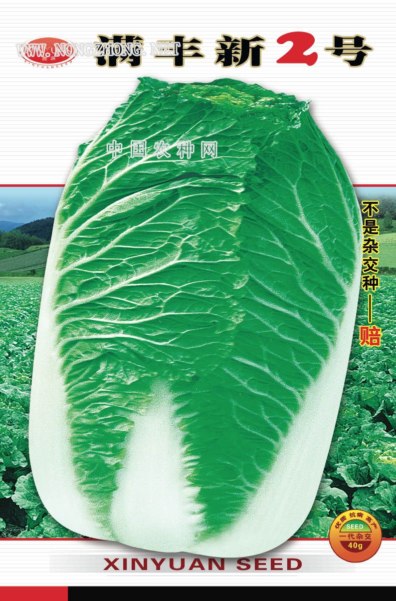 满丰新2号